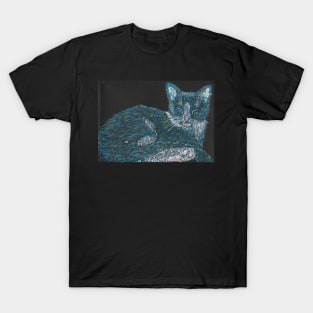 blue cat T-Shirt